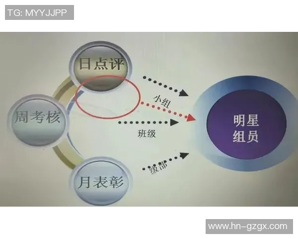 南京排球队杯赛表现分析:意识与团队协作的深度探讨